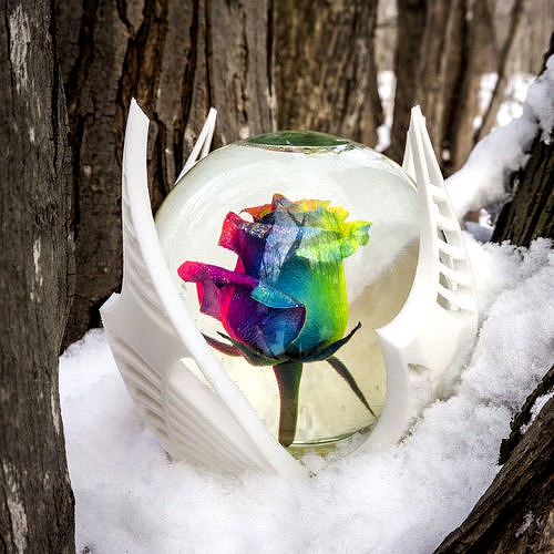Rainbow Rose Globe | 3D