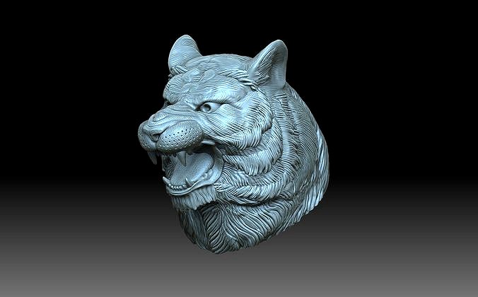 Head tiger | 3D