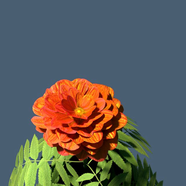 red flower modeling by blender