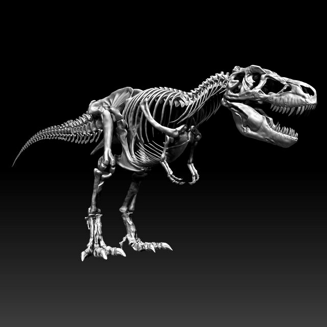 sub tyrannosaurus rex full skeletons - subrex sculpt