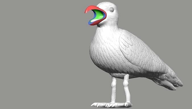 SEGULL BIRD 3D OBJ FREE CONVERT | 3D