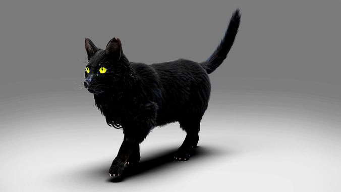 Fur Cat Black NO Rigged