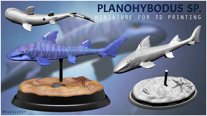 STL Prehistoric Shark Planohybodus for 3D Printing | 3D
