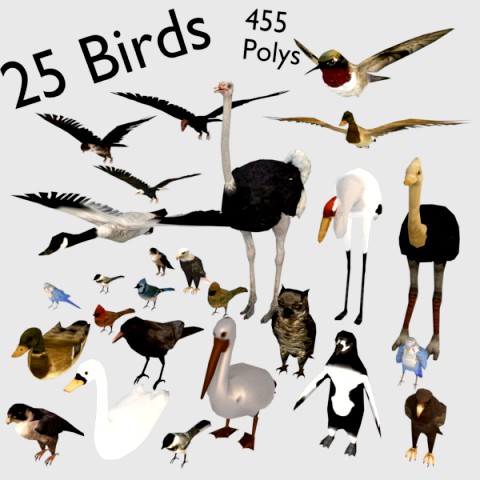 25 low poly bird collection game ready