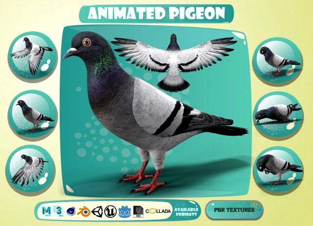 realistic animated rock pigeon low-poly
