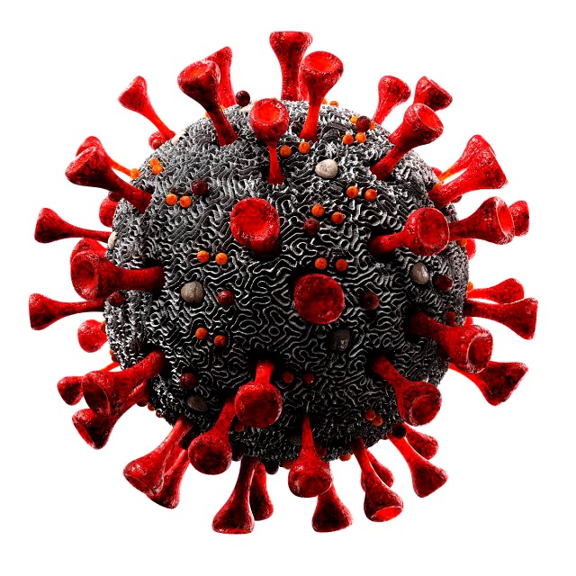 coronavirus sars-cov-2
