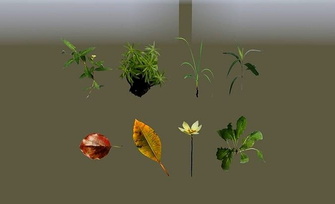 3Dmax plant resources grass leaves small flowers low poly