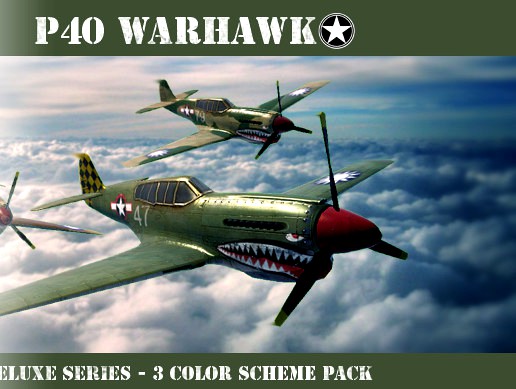 P40-Warhawk