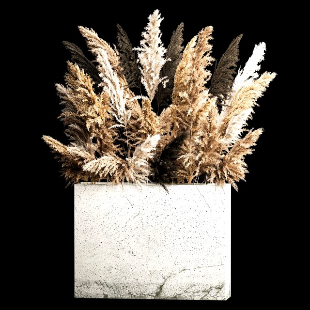 Deorative Bouquet In A Concrete Vase Of Dry Reeds