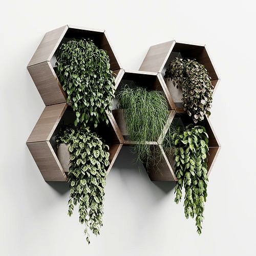 wall plant  set Indoor plant 268 concrete wall