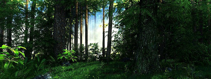 Riparian Forest Scene 01