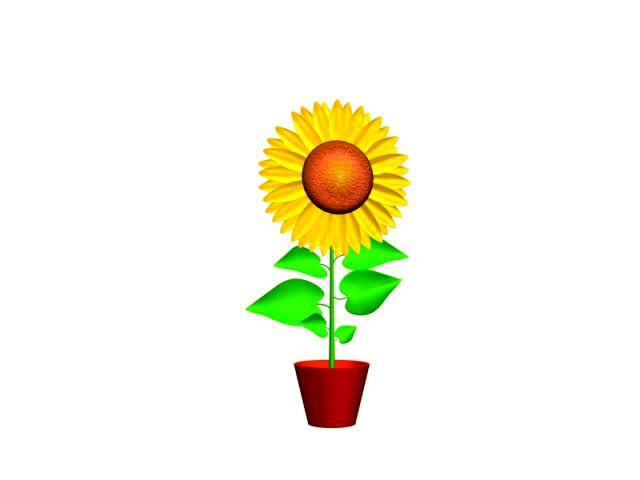 Sunflower flower plant isolated