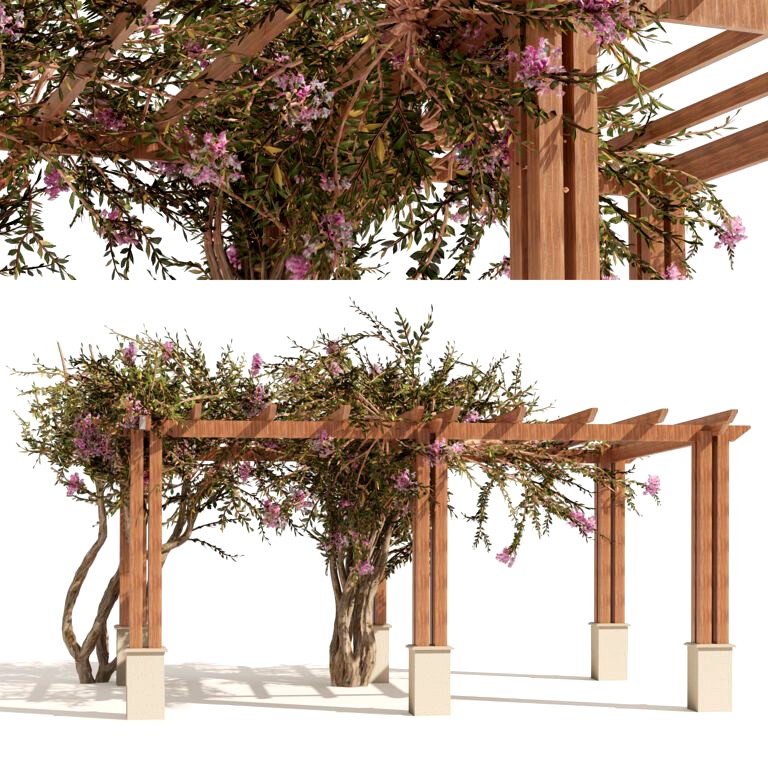 Crape Myrtle Pergola (334685)