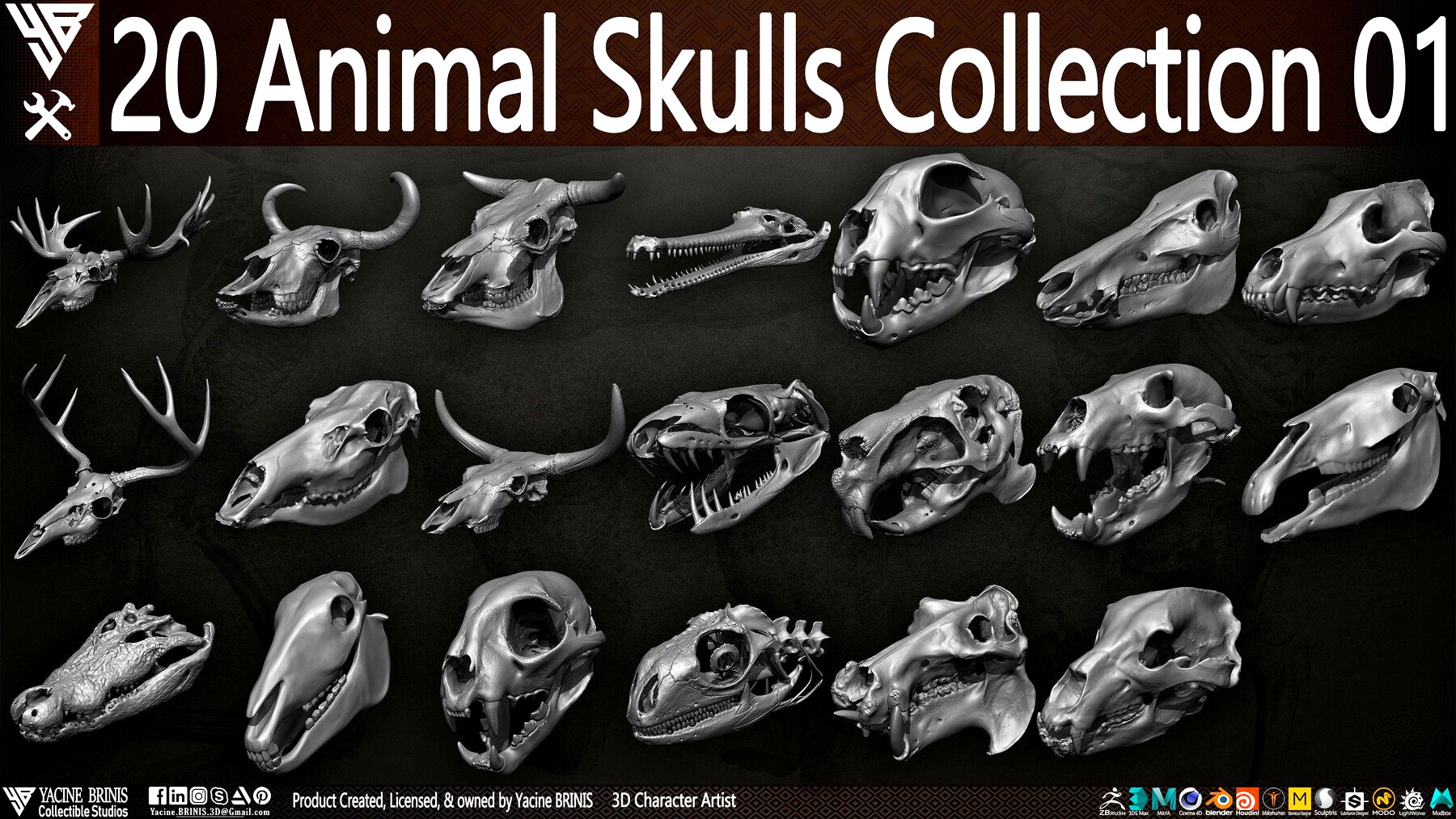 20 Animal Skulls Collection 01
