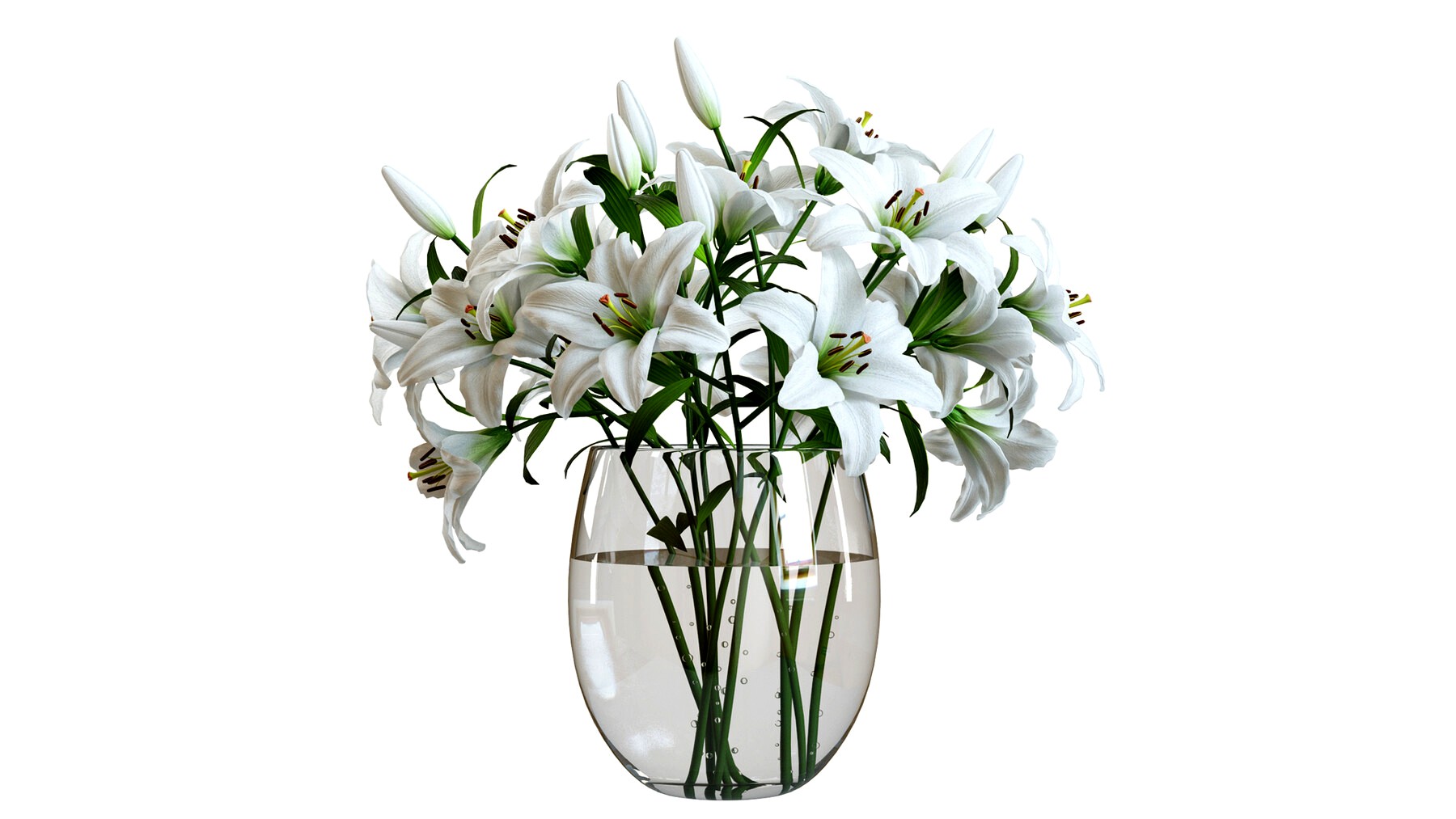3D Model / Flower Set 01 / White Lilies