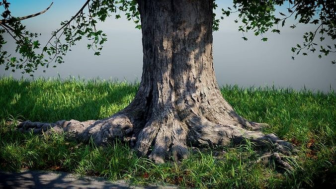 Tree on the Road - Complete tree package with particles