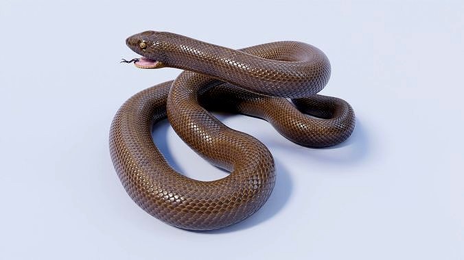 Animated Rubber Boa