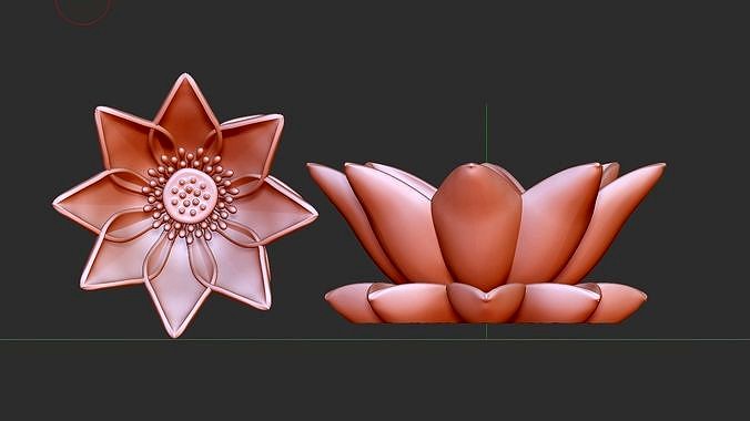 lotus flower | 3D
