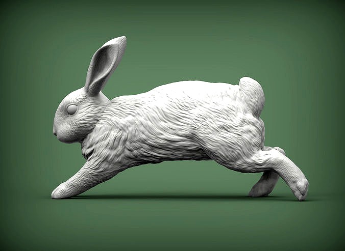 Rabbit  | 3D