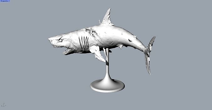 great white shark desktop ornament | 3D