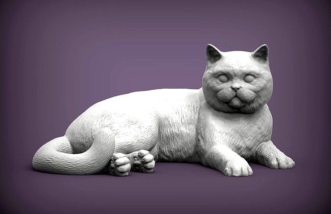 british shorthair cat  | 3D