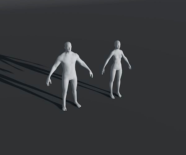 Male and Female Body Base Mesh 28 Animations 3D Model