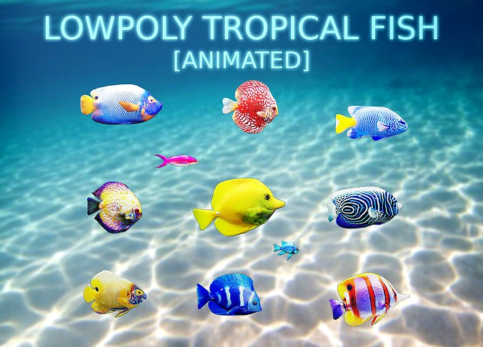 Animated Tropical Fish