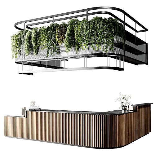 Coffee shop reception Restaurant counter by hanging plant