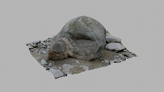Embedded Gray Rock - Photoscan 3D Model - Varying LOD