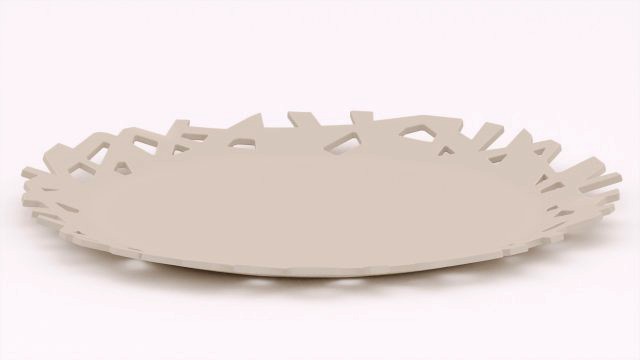 Cutaway Plate
