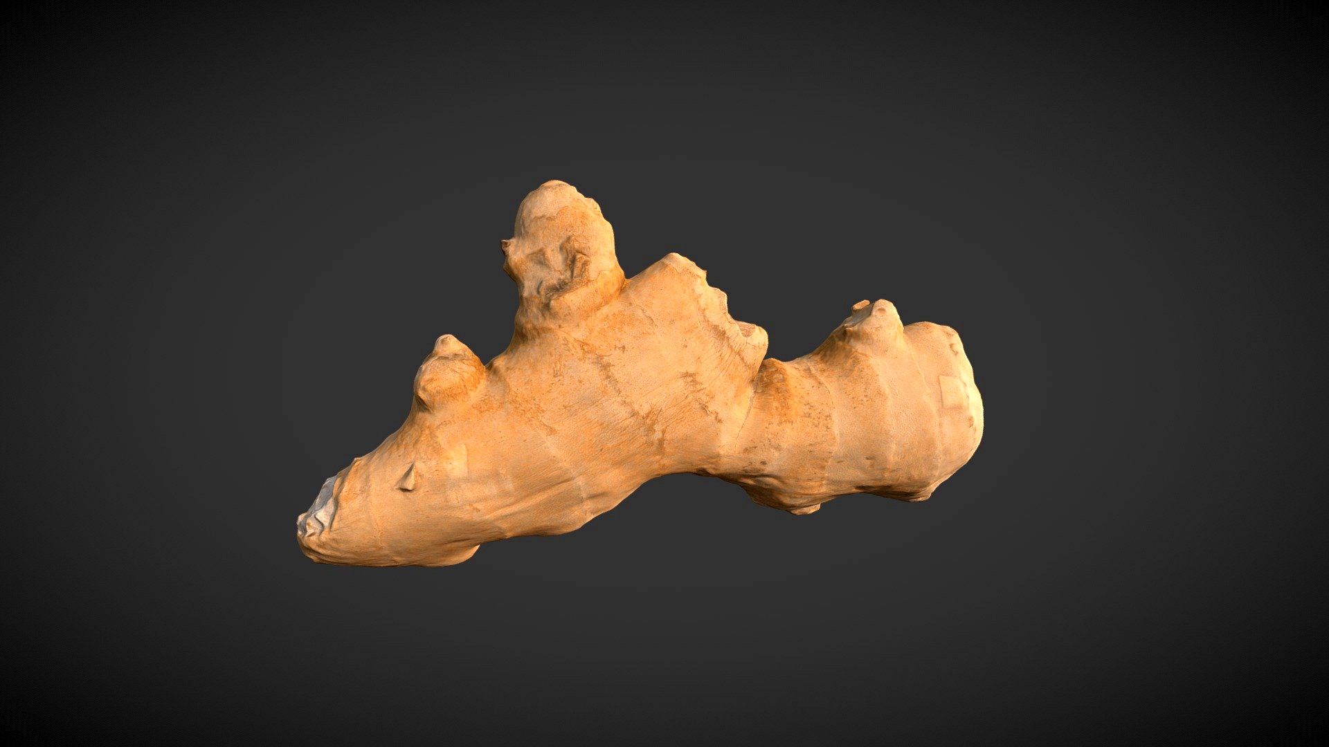 Ginger Root 03 3D Scan