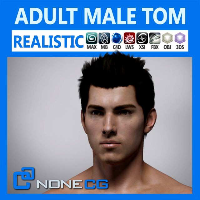 Adult Male Tom