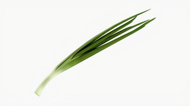 Spring Onions 02