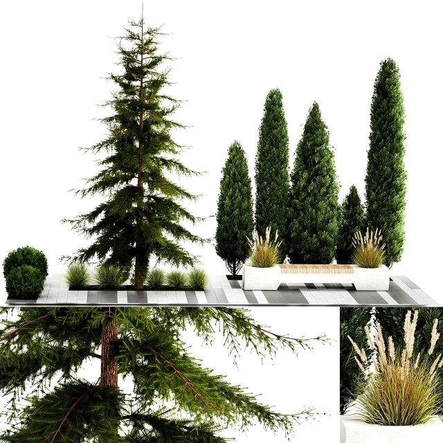 Garden of thuja and cypress trees with bushes 1156