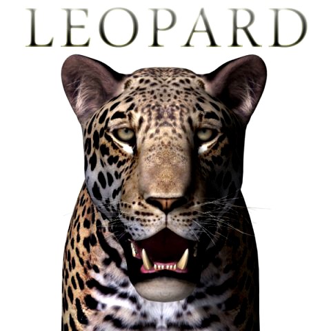 realistic leopard no fur