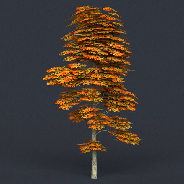 low poly tree 15