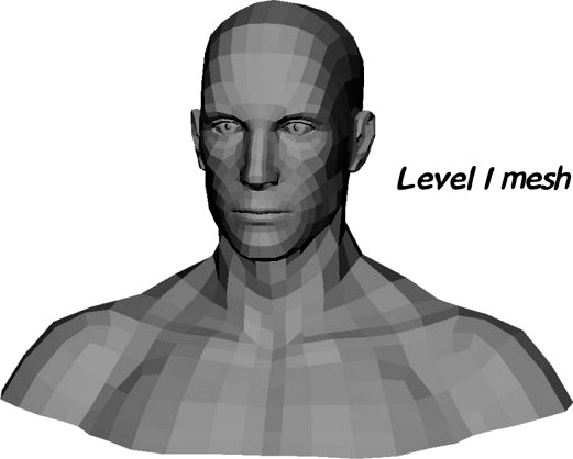 Male Head and Shoulders Maya obj collada fbx 3D Model