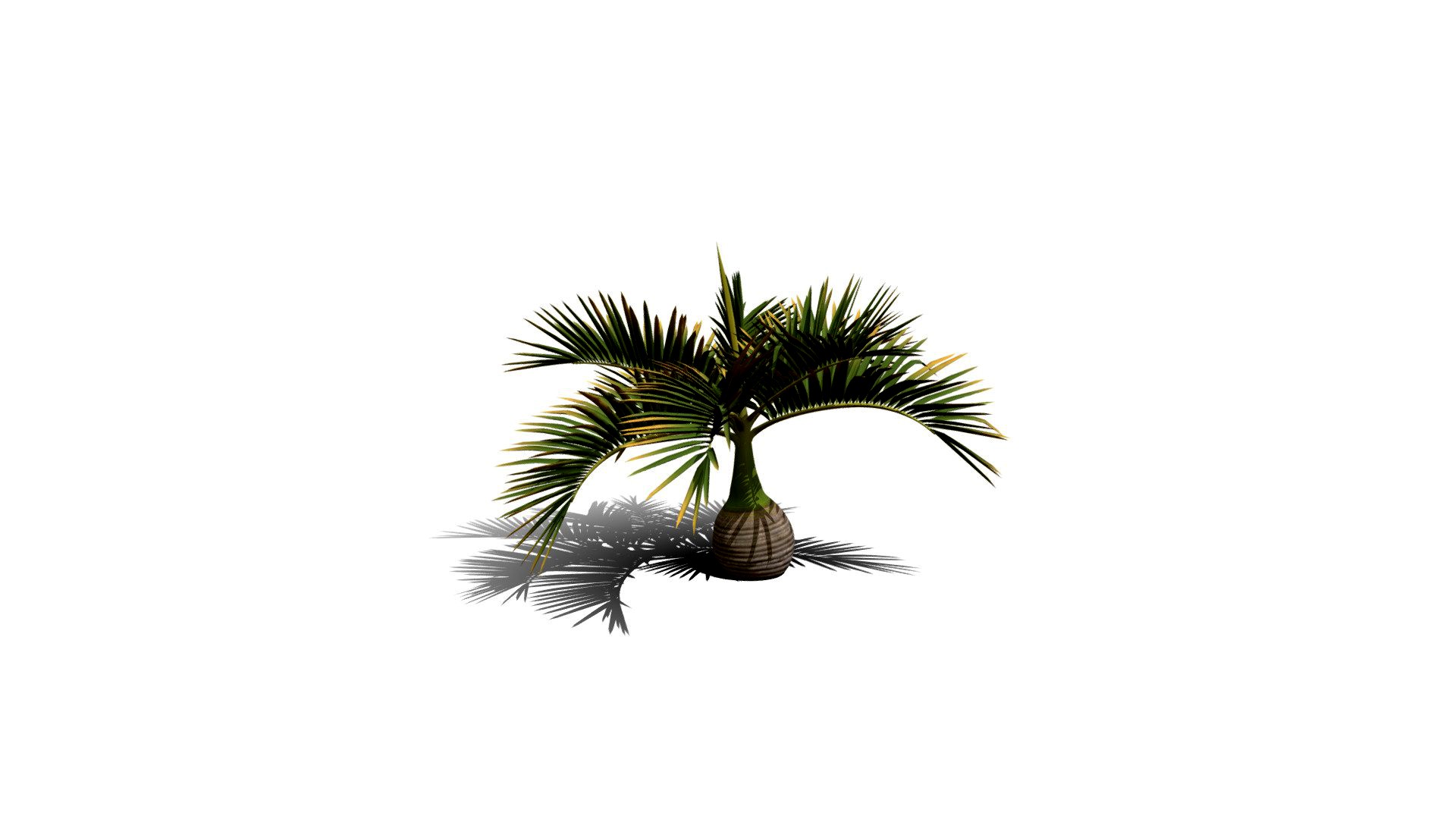Realistic HD Bottle palm (11/15)