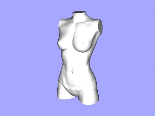 female torso