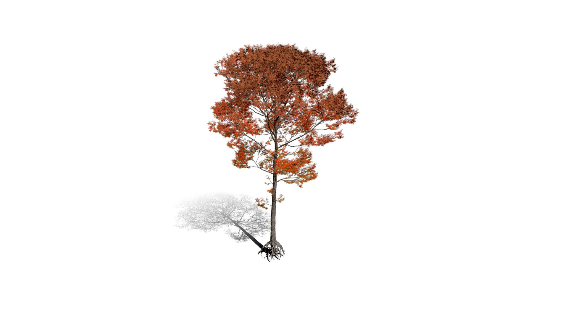 Realistic HD Northern red oak (85/138)