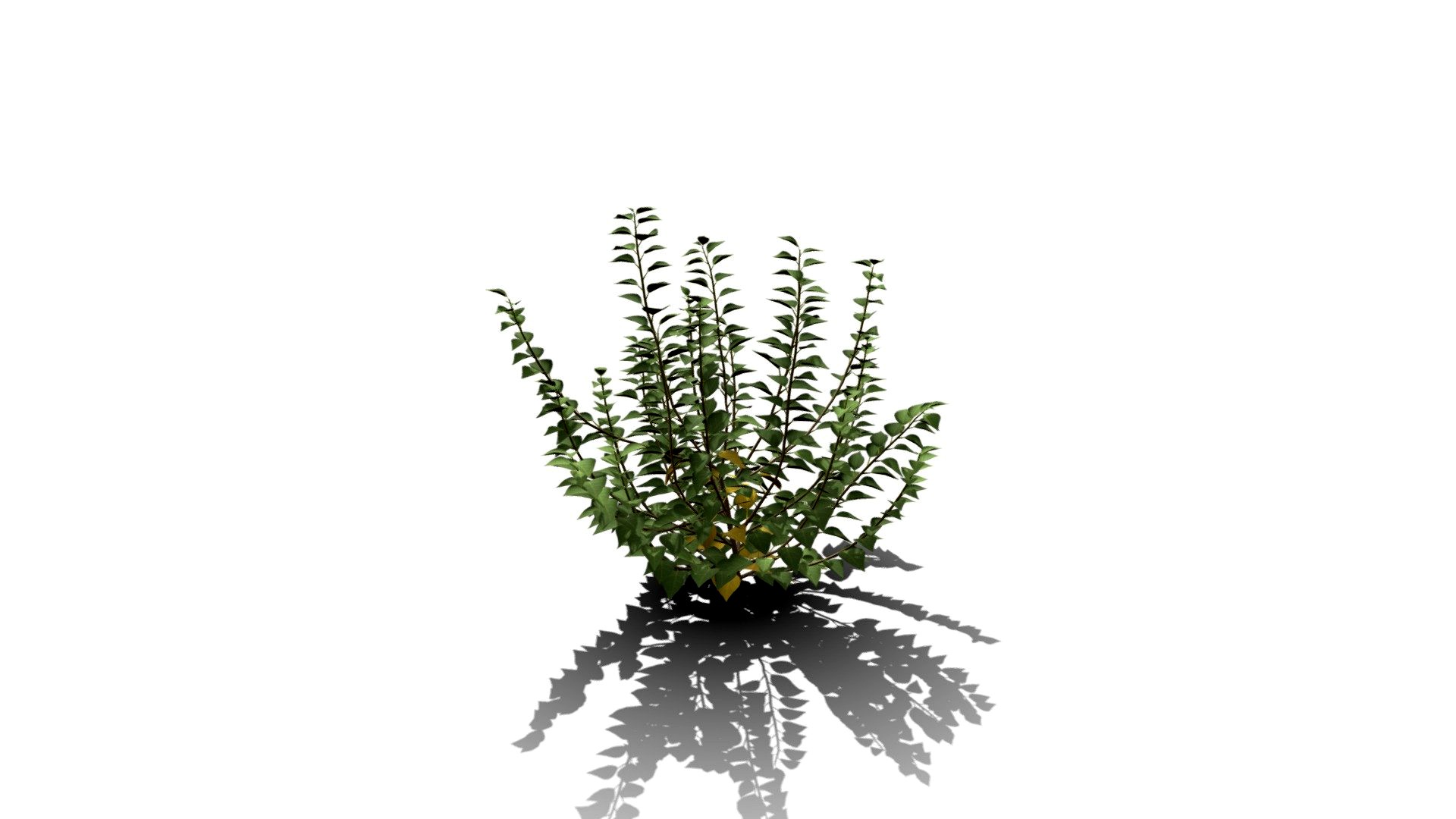 Realistic HD Green ivy bushy (6/10)