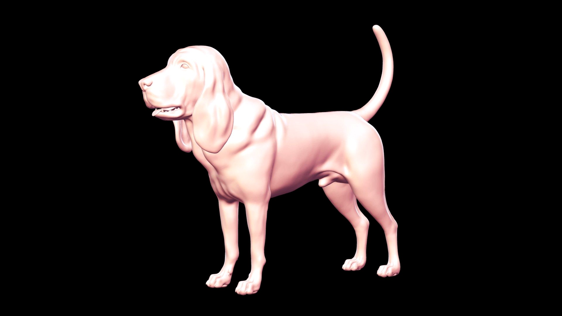 Bloodhound Base Mesh 3D model