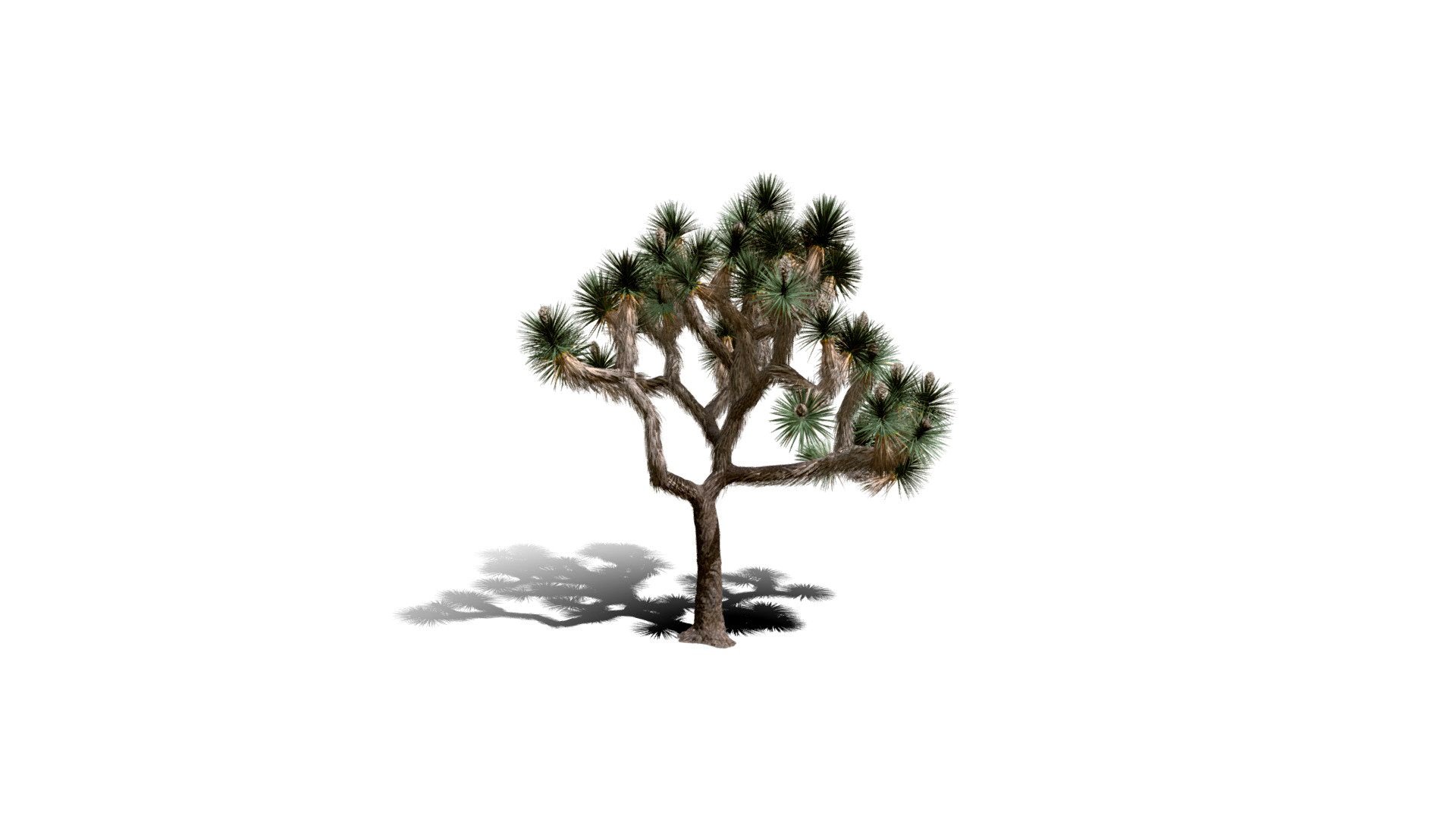 Realistic HD Joshua tree (5/30)
