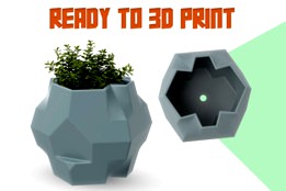 3D printed Planter (flower vase)