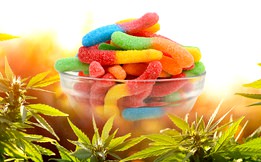 Pure Harmony CBD Gummies Website