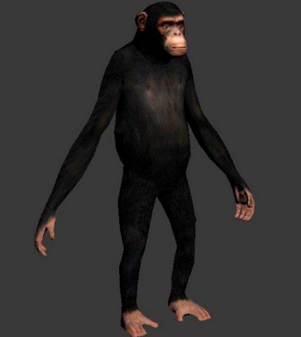 gta 5 monkey