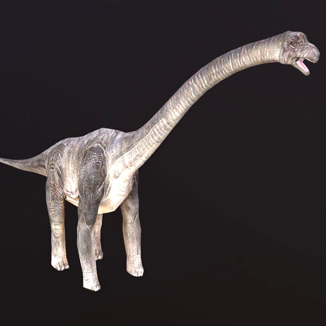 Brachiosaurus