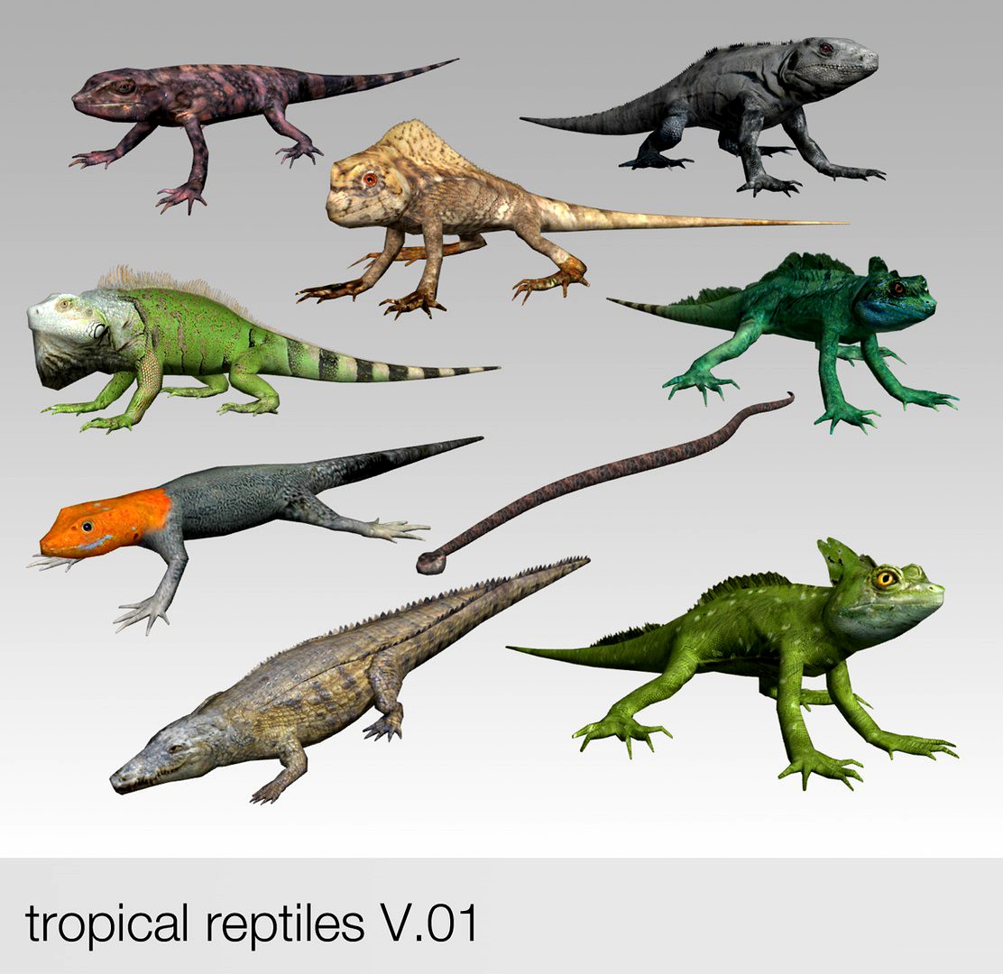 tropical Reptiles