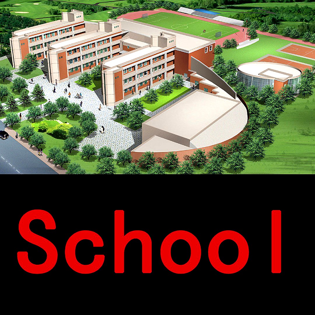 School 151