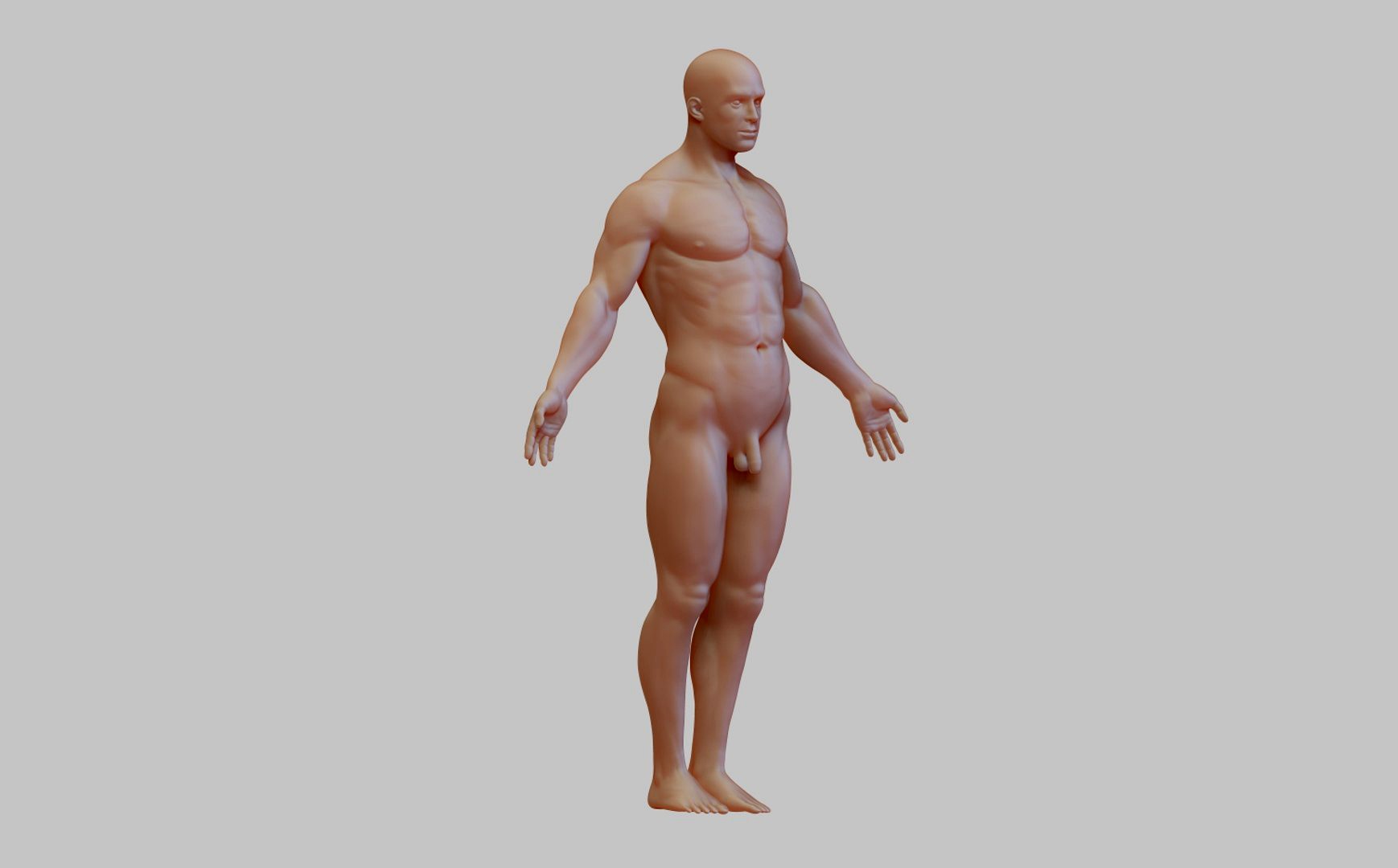 Anatomy man
